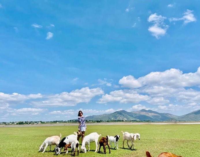 Bãi Bồi Tiên Sơn Thảo Nguyên Giữa Lòng Hồ