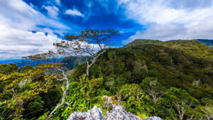 Vườn quốc gia Kon Ka Kinh - Lá phổi xanh của tỉnh Gia Lai - Tin Tức Gia Lai