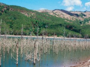 Đập Tân Sơn – Chốn Thơ Giữa Lòng Phố Núi