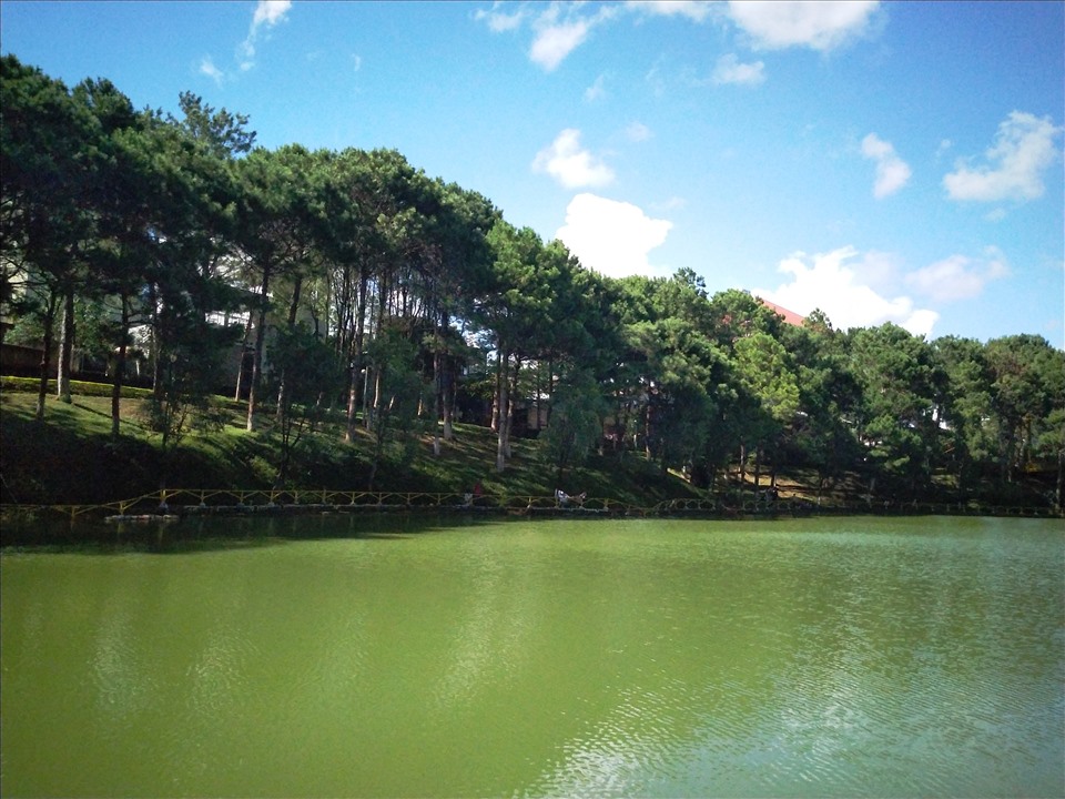 Bình yên tại hồ Diên Hồng
