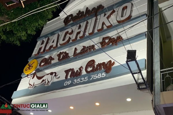 Hachiko Pet Spa