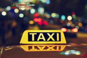 Top 9 Hãng Taxi Gia Lai Giá Tốt Và Chất Lượng Nhất - Tin Tức Gia Lai