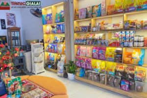 Top 5 Shop Thú Cưng Gia Lai, Nơi Làm Các Con “Sen” Mê Mẩn - Tin Tức Gia Lai