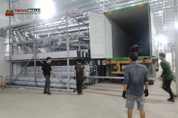 Công Ty Bốc Xếp Kiến Vàng